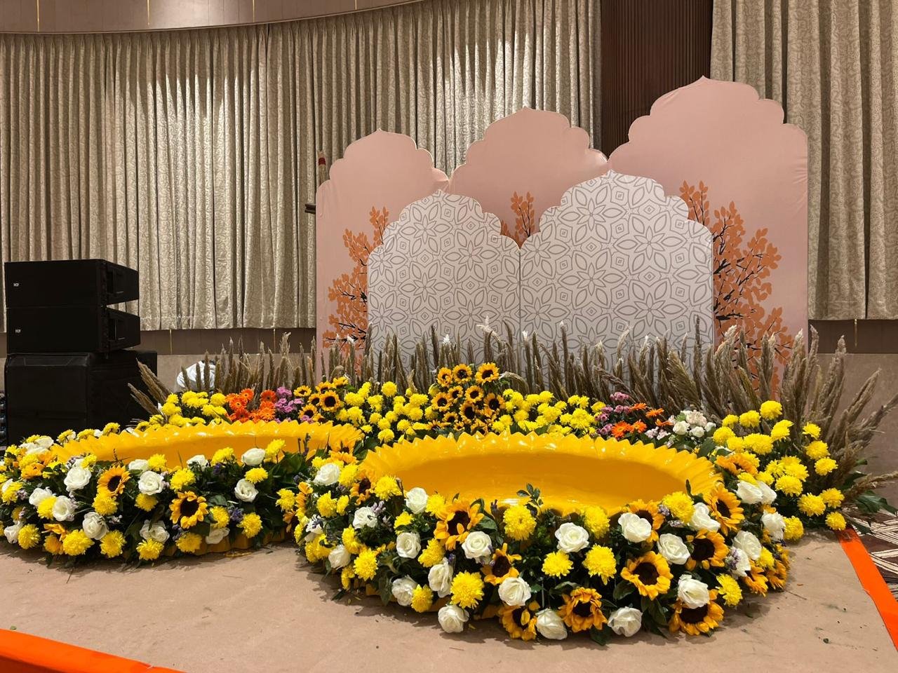 Radisson Hotel Nathdwara